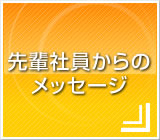 先輩社員からのメッセージ