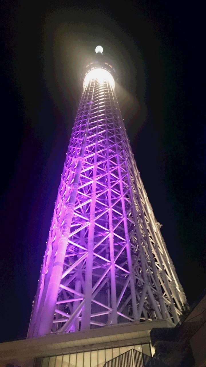 東京観光 東京観光