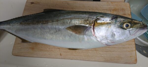 魚釣りでリフレッシュ