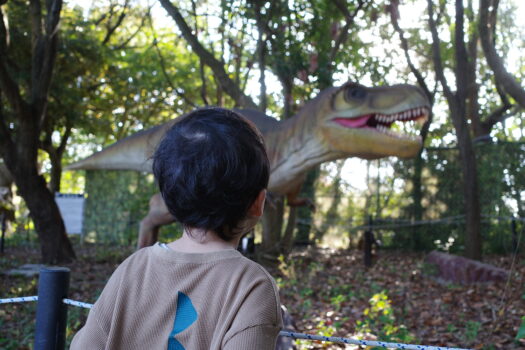 恐竜大好きっ子🦖